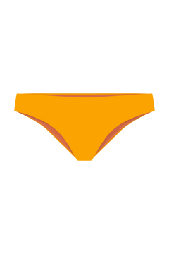 Boomerang Brief / Yellow Coral